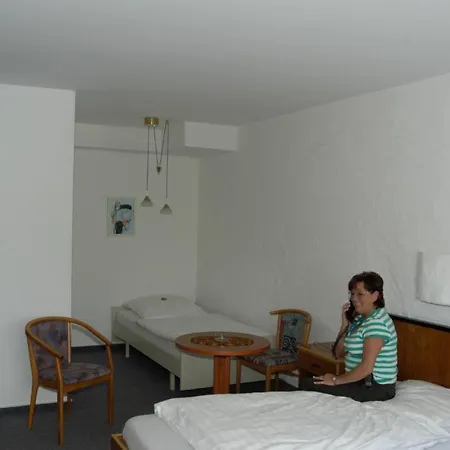 Schwerthof Hotel 3*